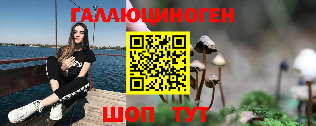 Галлюциногенные грибы Cubensis Лангепас